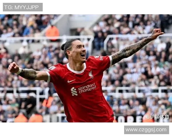 努涅斯的崛起与挑战：在足球世界中书写属于自己的传奇篇章