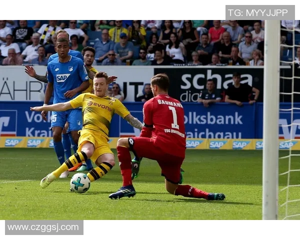 多特蒙德对阵霍芬海姆精彩直播全程回顾与分析 多特蒙德对阵霍芬海姆精彩直播全程回顾与分析
