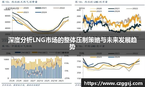 深度分析LNG市场的整体压制策略与未来发展趋势